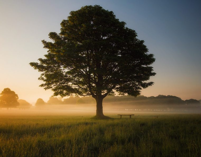 simon-wilkes-S297j2CsdlM-unsplash